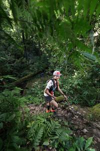 BIB: 
                            <button type="button" onclick="openModal(16028776)" class="btn btn-primary btn-sm float-right btn-popup" data-toggle="modal" data-target=".modal-high-quality">
                        <i class="fas fa-shopping-cart"></i> Add to Cart
                    </button>
                                            <button type="button" onclick="isThisMe(16028776, true)" class="btn btn-success btn-sm float-right btn-popup btn-isme hidden" data-toggle="tooltip" data-placement="bottom" title="นี่คือรูปของคุณใช่ไหม คลิกที่นี่เพื่อเอาเข้าอัลบั้ม">
                        <i class="fas fa-plus"></i> Add to album
                    </button>
                    <button type="button" onclick="isThisMe(16028776, false)" class="btn btn-warning btn-sm float-right btn-popup btn-isnotme hidden">
                        <i class="fas fa-ban"></i> Remove from album
                    </button>